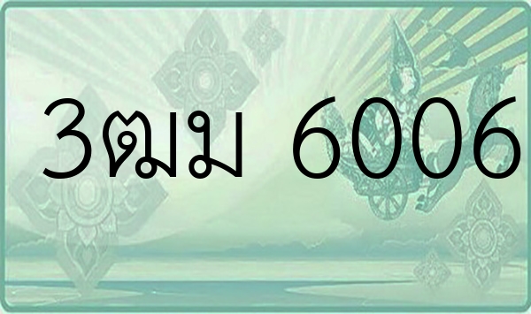 3ฒม 6006